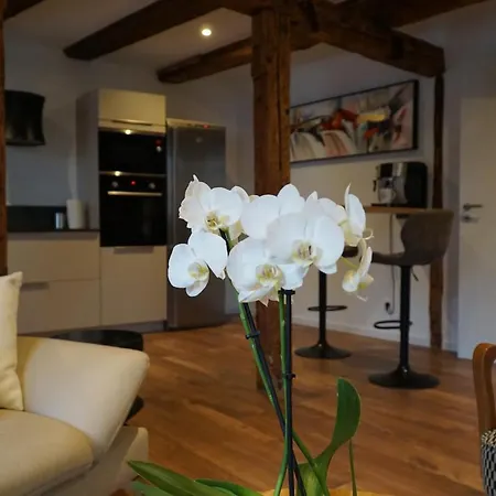 Du Xve Apartment
