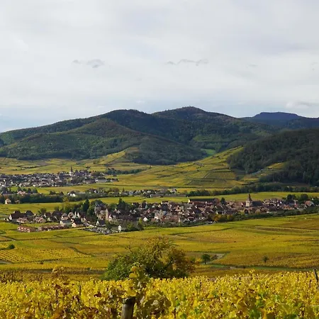 Du Xve * Kaysersberg-Vignoble