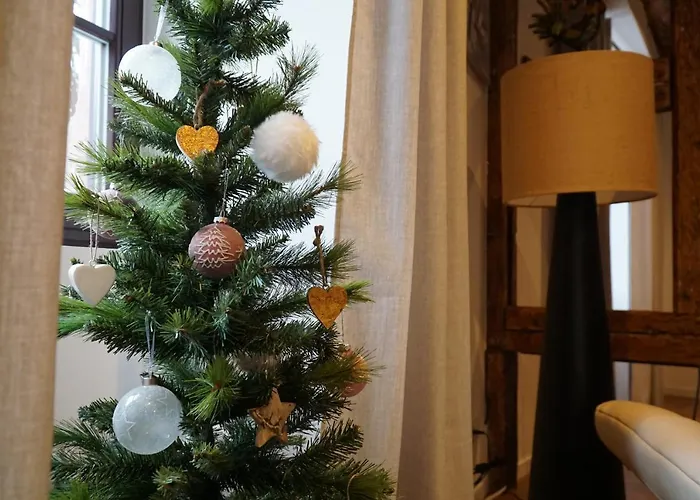 Apartment Du Xve Kaysersberg-Vignoble