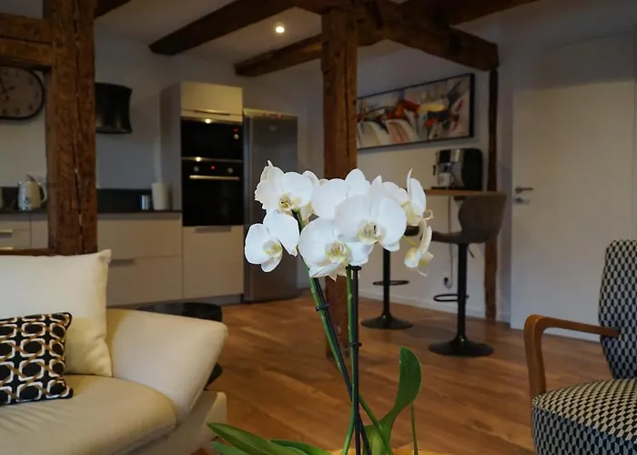 Du Xve Appartement