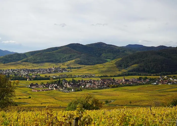 Du Xve * Kaysersberg-Vignoble