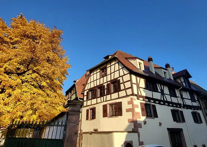 Appartement Du Xve *